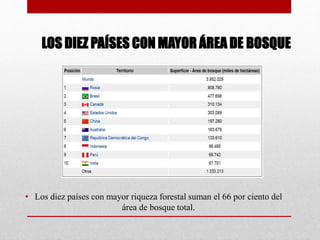 LOS DIEZ PAÍSES CON MAYOR ÁREA DE BOSQUE
• Los diez países con mayor riqueza forestal suman el 66 por ciento del
área de bosque total.
 