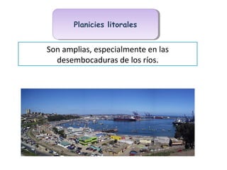 Planicies litoralesPlanicies litorales
Son amplias, especialmente en las
desembocaduras de los ríos.