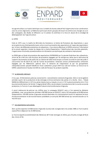 L'état des lieux de la filière Agrumes | DOCX