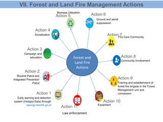 Lessons learned and commitment of forest and land fire on peatland fire ...