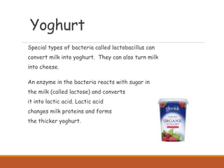 Yoghurt
Special types of bacteria called lactobacillus can
convert milk into yoghurt. They can also turn milk
into cheese.
An enzyme in the bacteria reacts with sugar in
the milk (called lactose) and converts
it into lactic acid. Lactic acid
changes milk proteins and forms
the thicker yoghurt.
 