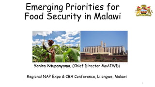 Emerging Priorities for
Food Security in Malawi
Yanira Ntupanyama, (Chief Director MoAIWD)
Regional NAP Expo & CBA Conference, Lilongwe, Malawi
1
 