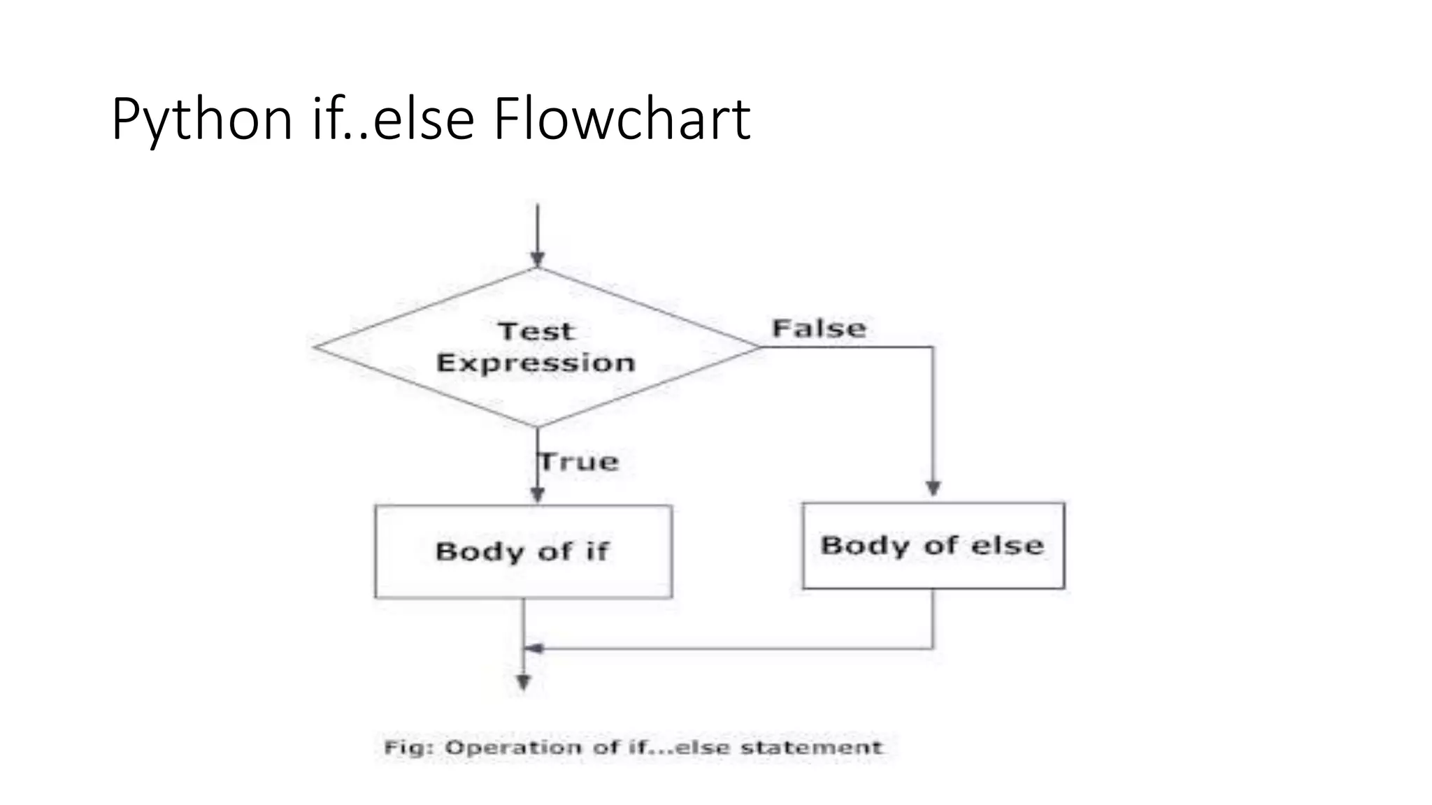 Python if..else Flowchart
 