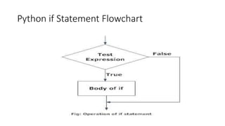 Python if Statement Flowchart
 