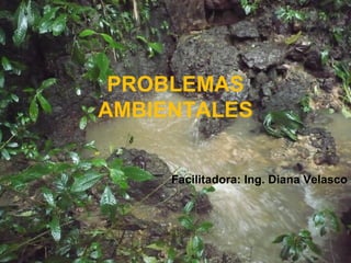 ”
Facilitadora: Ing. Diana Velasco
PROBLEMAS
AMBIENTALES
 