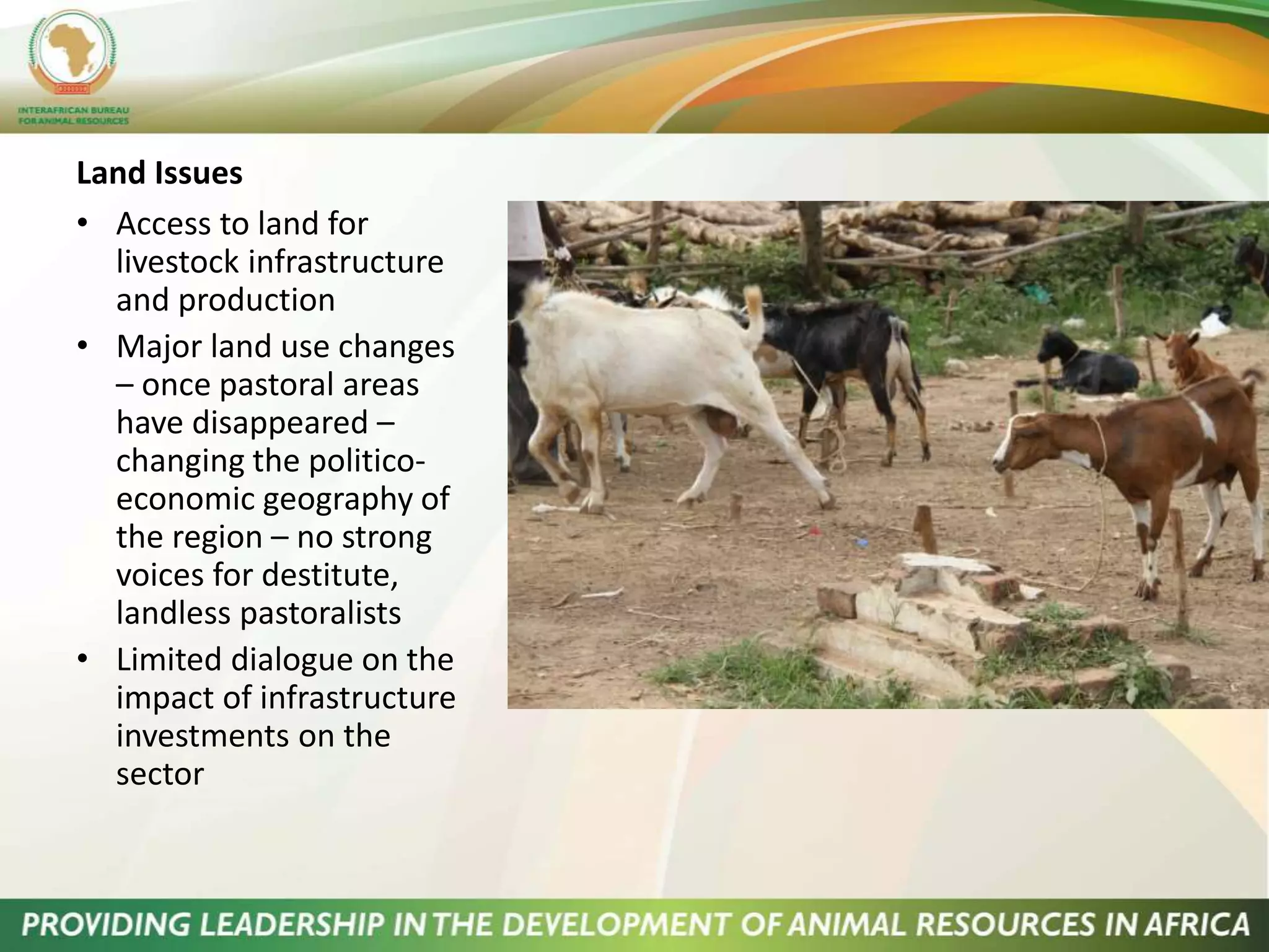 The role of livestock in sustainable development in East Africa | PPTX