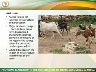 The role of livestock in sustainable development in East Africa