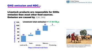 Pathways to low emissions livestock farming in East Africa