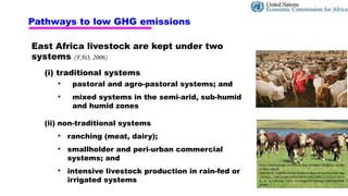 Pathways to low emissions livestock farming in East Africa