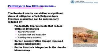 Pathways to low emissions livestock farming in East Africa