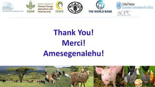 Pathways to low emissions livestock farming in East Africa