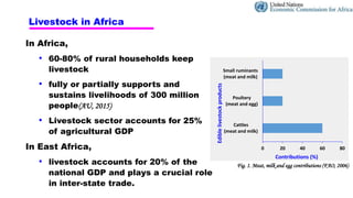 Pathways to low emissions livestock farming in East Africa
