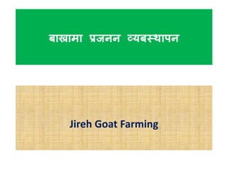 बाख्रामा प्रजनन व्यबस्थापन
Jireh Goat Farming
 