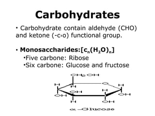 Carbohydrates
• Carbohydrate contain aldehyde (CHO)
and ketone (-c o) functional group.꞊
• Monosaccharides:[cn(H2O)n]
•Five carbone: Ribose
•Six carbone: Glucose and fructose
 