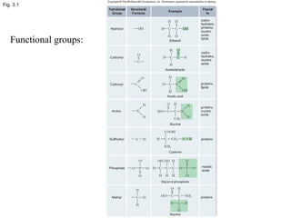 Fig. 3.1
Functional groups:
 