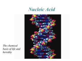 Nucleic Acid
The chemical
basis of life and
heredity
 