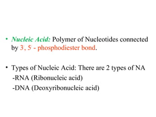 • Nucleic Acid: Polymer of Nucleotides connected
by 3/
, 5/
- phosphodiester bond.
• Types of Nucleic Acid: There are 2 types of NA
-RNA (Ribonucleic acid)
-DNA (Deoxyribonucleic acid)
 