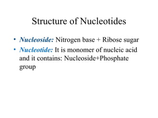 Structure of Nucleotides
• Nucleoside: Nitrogen base + Ribose sugar
• Nucleotide: It is monomer of nucleic acid
and it contains: Nucleoside+Phosphate
group
 