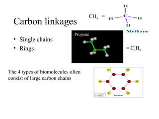 Carbon linkages
• Single chains
• Rings
Propane
The 4 types of biomolecules often
consist of large carbon chains
= C3H8
CH4 =
 