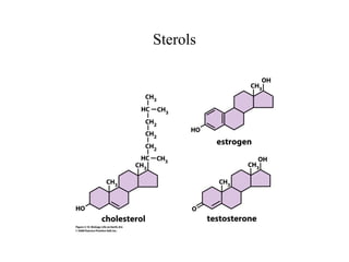 Sterols
 