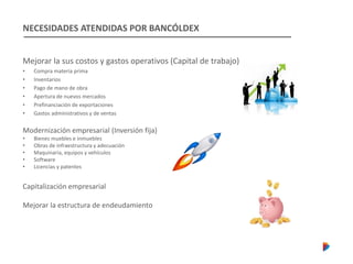 NECESIDADES ATENDIDAS POR BANCÓLDEX
Mejorar la sus costos y gastos operativos (Capital de trabajo)
• Compra materia prima
• Inventarios
• Pago de mano de obra
• Apertura de nuevos mercados
• Prefinanciación de exportaciones
• Gastos administrativos y de ventas
Modernización empresarial (Inversión fija)
• Bienes muebles e inmuebles
• Obras de infraestructura y adecuación
• Maquinaria, equipos y vehículos
• Software
• Licencias y patentes
Capitalización empresarial
Mejorar la estructura de endeudamiento
 