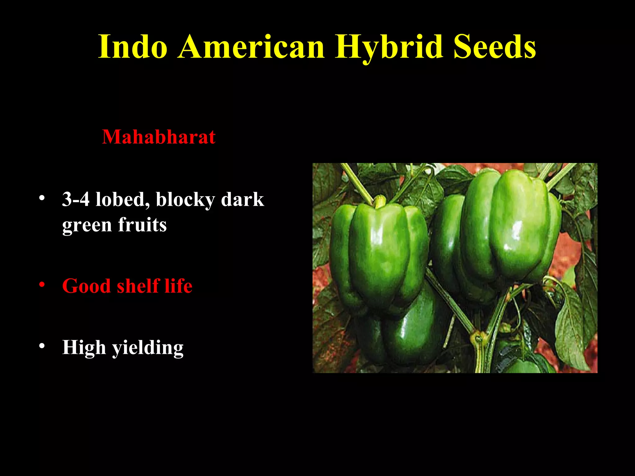 Indo American Hybrid Seeds
Mahabharat
• 3-4 lobed, blocky dark
green fruits
• Good shelf life
• High yielding
 