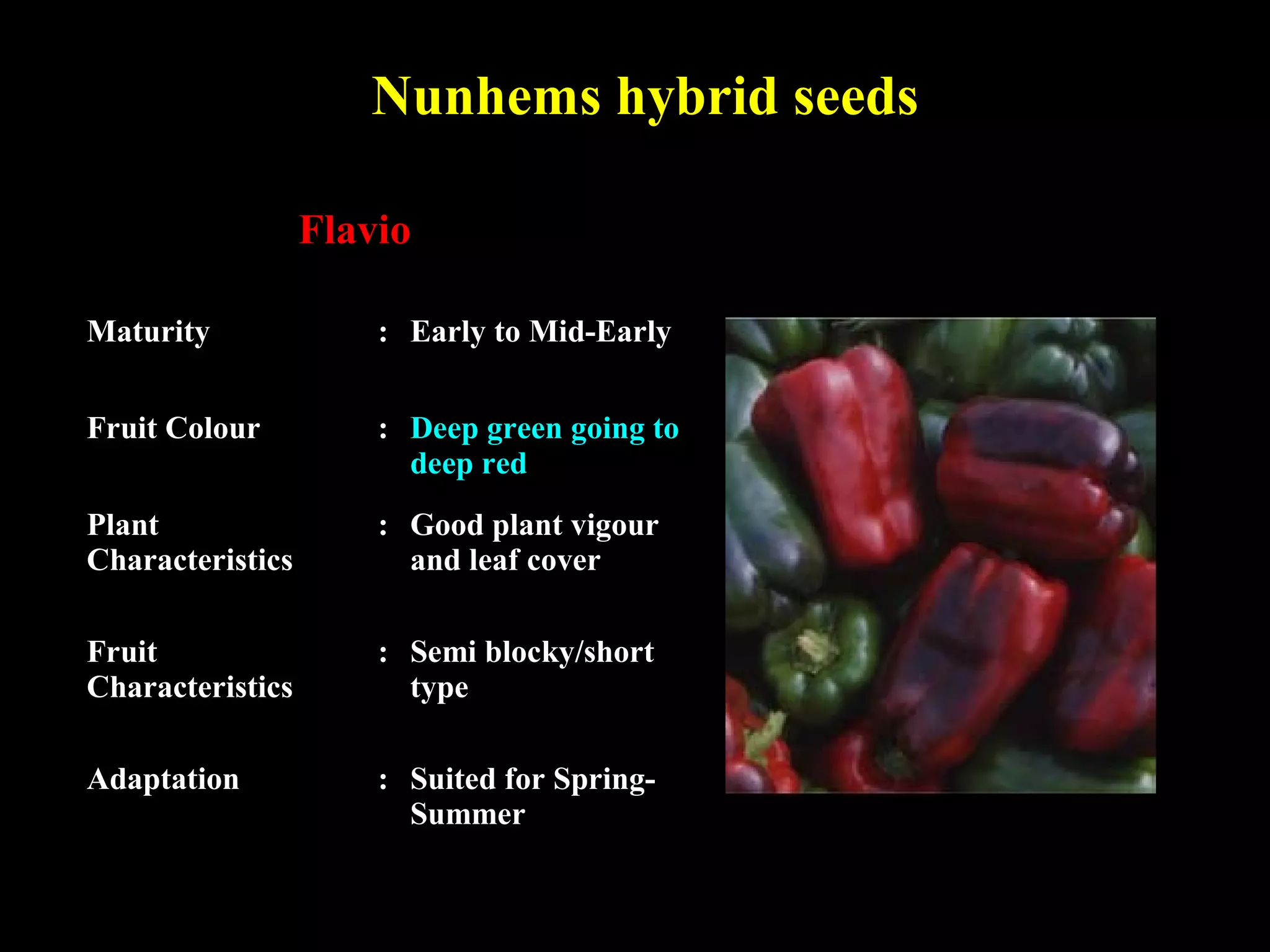 Nunhems hybrid seeds
Flavio
Maturity : Early to Mid-Early
Fruit Colour : Deep green going to
deep red
Plant
Characteristics
: Good plant vigour
and leaf cover
Fruit
Characteristics
: Semi blocky/short
type
Adaptation : Suited for Spring-
Summer
 