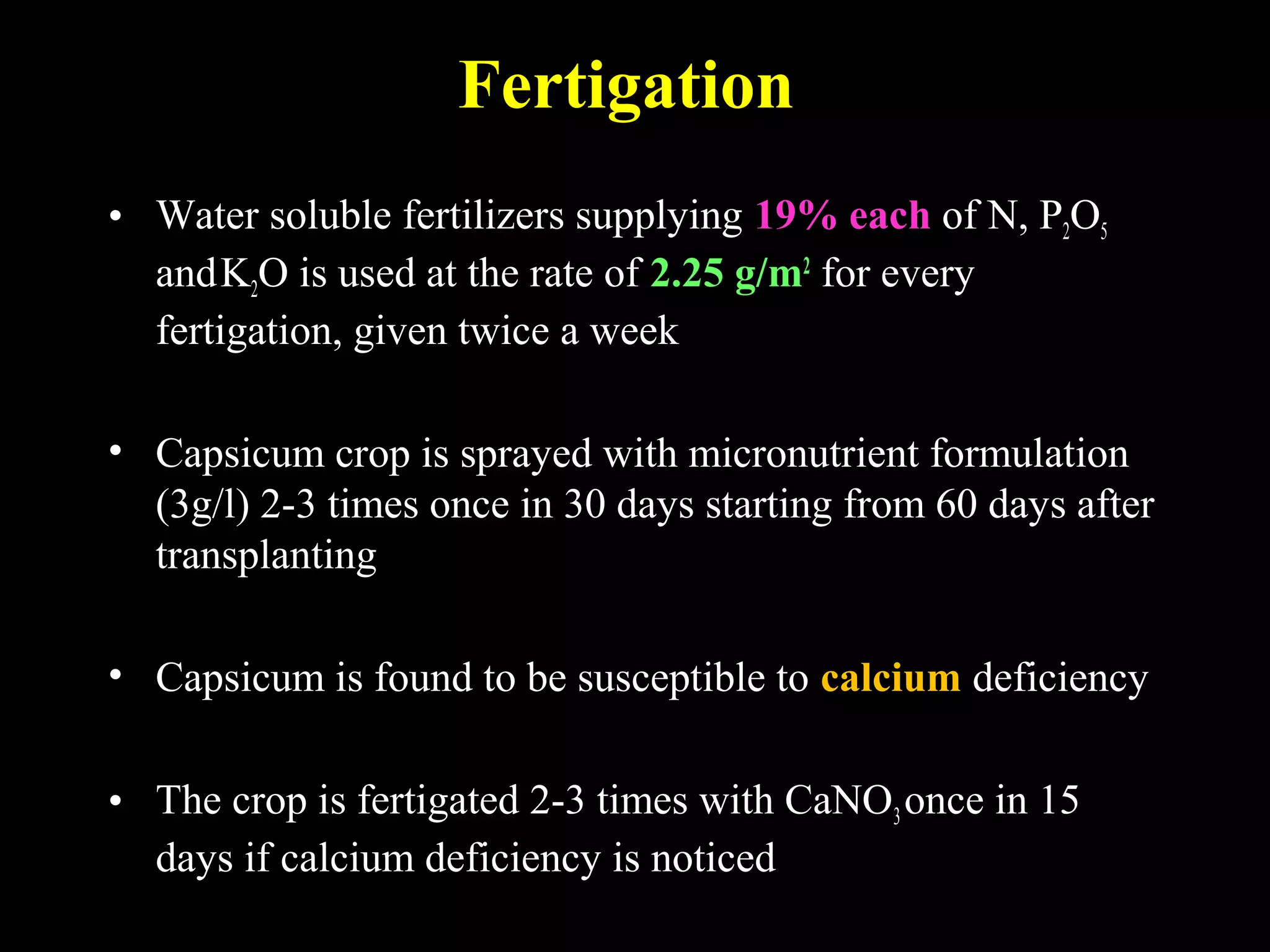 Fertigation
• Water soluble fertilizers supplying 19% each of N, P2O5
andK2O is used at the rate of 2.25 g/m2
for every
fertigation, given twice a week
• Capsicum crop is sprayed with micronutrient formulation
(3g/l) 2-3 times once in 30 days starting from 60 days after
transplanting
• Capsicum is found to be susceptible to calcium deficiency
• The crop is fertigated 2-3 times with CaNO3once in 15
days if calcium deficiency is noticed
 