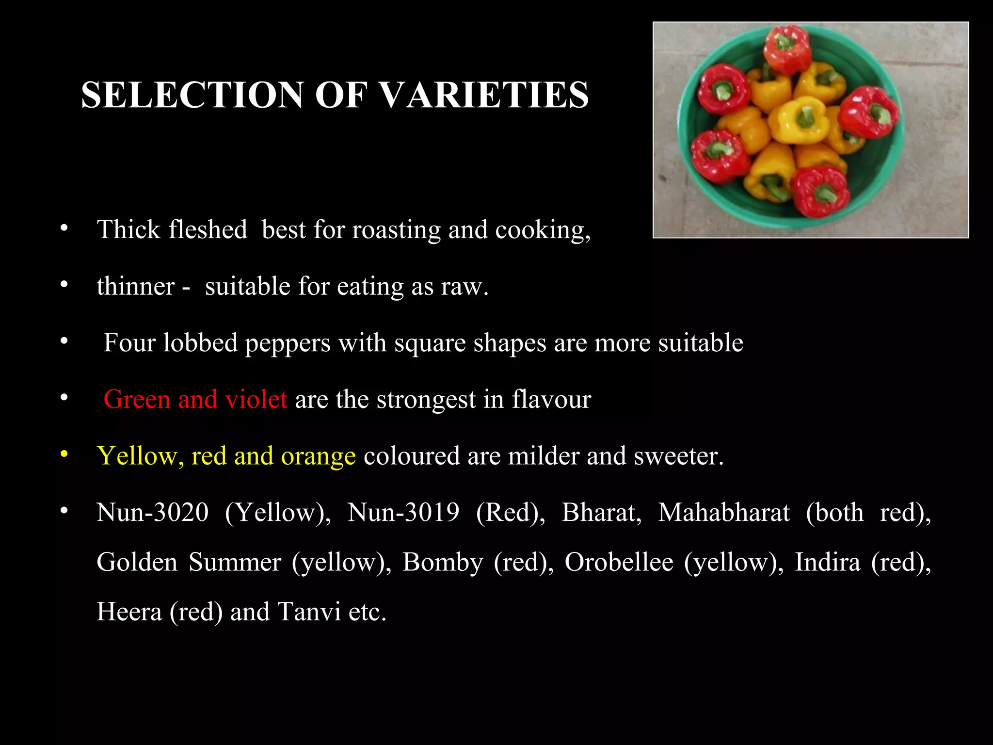 SELECTION OF VARIETIES
• Thick fleshed best for roasting and cooking,
• thinner - suitable for eating as raw.
• Four lobbed peppers with square shapes are more suitable
• Green and violet are the strongest in flavour
• Yellow, red and orange coloured are milder and sweeter.
• Nun-3020 (Yellow), Nun-3019 (Red), Bharat, Mahabharat (both red),
Golden Summer (yellow), Bomby (red), Orobellee (yellow), Indira (red),
Heera (red) and Tanvi etc.
 