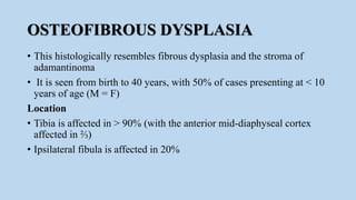 OSTEOFIBROUS DYSPLASIA
• This histologically resembles fibrous dysplasia and the stroma of
adamantinoma
• It is seen from birth to 40 years, with 50% of cases presenting at < 10
years of age (M = F)
Location
• Tibia is affected in > 90% (with the anterior mid-diaphyseal cortex
affected in ⅔)
• Ipsilateral fibula is affected in 20%
 