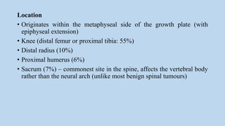 Location
• Originates within the metaphyseal side of the growth plate (with
epiphyseal extension)
• Knee (distal femur or proximal tibia: 55%)
• Distal radius (10%)
• Proximal humerus (6%)
• Sacrum (7%) – commonest site in the spine, affects the vertebral body
rather than the neural arch (unlike most benign spinal tumours)
 