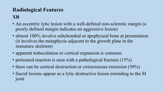 Radiological Features
XR
• An eccentric lytic lesion with a well-defined non-sclerotic margin (a
poorly defined margin indicates an aggressive lesion)
• almost 100% involve subchondral or apophyseal bone at presentation
(it involves the metaphysis adjacent to the growth plate in the
immature skeleton)
• apparent trabeculation or cortical expansion is common
• periosteal reaction is seen with a pathological fracture (15%)
• there can be cortical destruction or extraosseous extension (50%)
• Sacral lesions appear as a lytic destructive lesion extending to the SI
joint
 