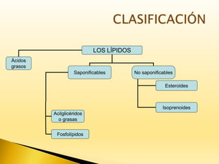 4
LOS LÍPIDOS
Ácidos
grasos
Saponificables No saponificables
Acilglicéridos
o grasas
Fosfolípidos
Esteroides
Isoprenoides
 