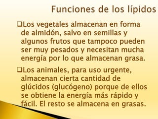 Los vegetales almacenan en forma
de almidón, salvo en semillas y
algunos frutos que tampoco pueden
ser muy pesados y necesitan mucha
energía por lo que almacenan grasa.
Los animales, para uso urgente,
almacenan cierta cantidad de
glúcidos (glucógeno) porque de ellos
se obtiene la energía más rápido y
fácil. El resto se almacena en grasas.
 