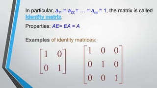 Matrices | PPT