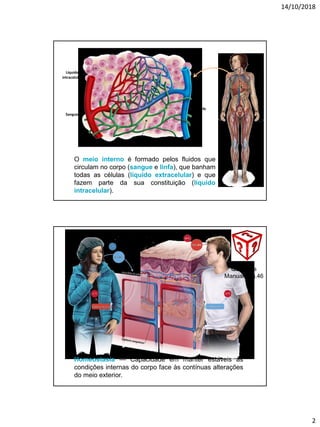 14/10/2018
2
O meio interno é formado pelos fluidos que
circulam no corpo (sangue e linfa), que banham
todas as células (líquido extracelular) e que
fazem parte da sua constituição (líquido
intracelular).
Líquido
extracelular
Líquido
intracelular
Sangue
Linfa
Homeostasia — Capacidade em manter estáveis as
condições internas do corpo face às contínuas alterações
do meio exterior.
Questões
Manual pág.46
 