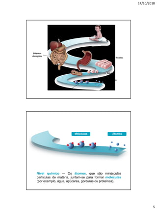 14/10/2018
5
Átomos
Moléculass
Organelos Células
Tecidos
Órgãos
Sistemas
de órgãos
Corpo humano
Nível químico — Os átomos, que são minúsculas
partículas de matéria, juntam-se para formar moléculas
(por exemplo, água, açúcares, gorduras ou proteínas).
ÁtomosMoléculas
 