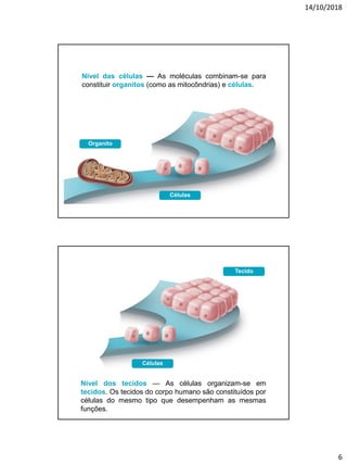 14/10/2018
6
Nível das células — As moléculas combinam-se para
constituir organitos (como as mitocôndrias) e células.
Células
Organito
Nível dos tecidos — As células organizam-se em
tecidos. Os tecidos do corpo humano são constituídos por
células do mesmo tipo que desempenham as mesmas
funções.
Células
Tecido
 