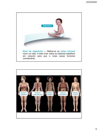 14/10/2018
8
Nível do organismo — Refere-se ao corpo humano
como um todo. A este nível, todos os sistemas trabalham
em conjunto para que o corpo possa funcionar
corretamente.
Organismo
Sistema
digestivo
Sistema
cardiovascular
Sistema
linfático
Sistema
respiratório
Sistema
urinário
 