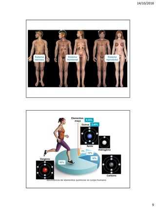 14/10/2018
9
Sistema
nervoso
Sistema
hormonal
Sistema
reprodutor
Oxigénio
Carbono
Hidrogénio
Azoto
Outros
Elementos-
-traço
65%
18%
10%
3%
0,55%
3,45%
Abundância de elementos químicos no corpo humano
 