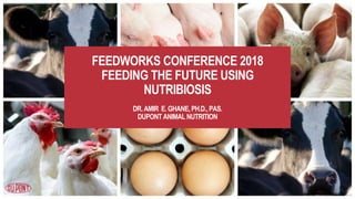 FEEDWORKS CONFERENCE 2018
FEEDING THE FUTURE USING
NUTRIBIOSIS
DR. AMIR E. GHANE, PH.D.,PAS.
DUPONT ANIMAL NUTRITION
1
 