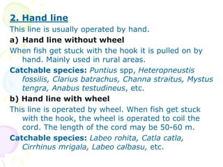 2. Hand line
This line is usually operated by hand.
a) Hand line without wheel
When fish get stuck with the hook it is pulled on by
hand. Mainly used in rural areas.
Catchable species: Puntius spp, Heteropneustis
fossilis, Clarius batrachus, Channa straitus, Mystus
tengra, Anabus testudineus, etc.
b) Hand line with wheel
This line is operated by wheel. When fish get stuck
with the hook, the wheel is operated to coil the
cord. The length of the cord may be 50-60 m.
Catchable species: Labeo rohita, Catla catla,
Cirrhinus mrigala, Labeo calbasu, etc.
 