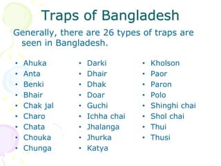 Traps of Bangladesh
Generally, there are 26 types of traps are
seen in Bangladesh.
• Ahuka
• Anta
• Benki
• Bhair
• Chak jal
• Charo
• Chata
• Chouka
• Chunga
• Darki
• Dhair
• Dhak
• Doar
• Guchi
• Ichha chai
• Jhalanga
• Jhurka
• Katya
• Kholson
• Paor
• Paron
• Polo
• Shinghi chai
• Shol chai
• Thui
• Thusi
 