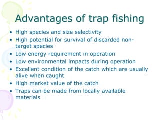 Fishing traps and hooks | PPTX Fishing traps and hooks | PPTX