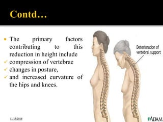 2. physiologic changes in elderly | PDF
