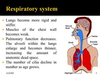 2. physiologic changes in elderly | PDF