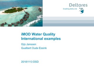 iMOD Water Quality
International examples
Gijs Janssen
Gualbert Oude Essink
20181113 DSD
 