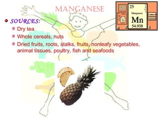 MAngAneSe
SOURCES:
Dry tea
Whole cereals, nuts
Dried fruits, roots, stalks, fruits, nonleafy vegetables,
animal tissues, poultry, fish and seafoods
 