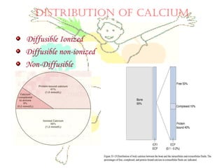 DISTRIBUTION OF CALCIUM
Diffusible Ionized
Diffusible non-ionized
Non-Diffusible
 