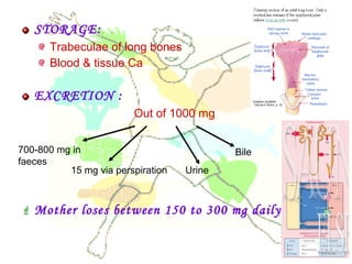 STORAGE:
Trabeculae of long bones
Blood & tissue Ca
EXCRETION :
Out of 1000 mg
 Mother loses between 150 to 300 mg daily in milk
700-800 mg in
faeces
15 mg via perspiration Urine
Bile
 